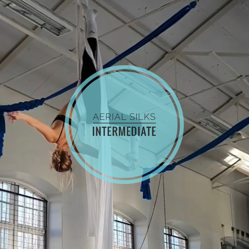 En elegant Aerial silks Intermediate v.11-v.17, Aerial silks intermediate, 7 ggr med naturligt utseende och känsla. Detaljerad utformning med realistiskt bladverk. 